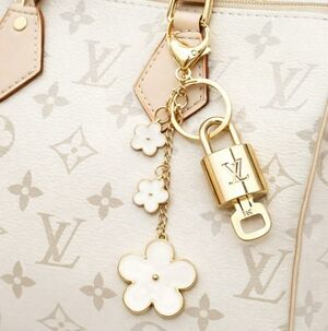 Authentic Louis Vuitton Lock & Key with unbranded Bagcharm, Keycharm, Keychain